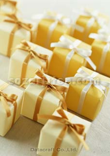 �v���[���g