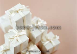 �v���[���g