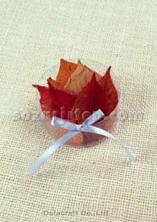 �v���[���g