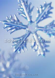 �I�[�i�����g