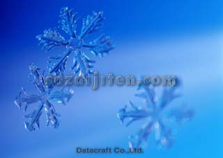 �I�[�i�����g