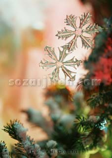�I�[�i�����g