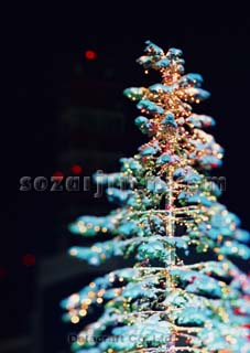 �C���~�l�[�V����