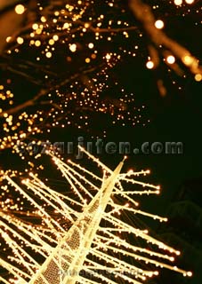 �C���~�l�[�V����