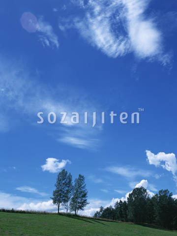 �q���n