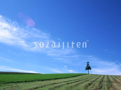 �q���n