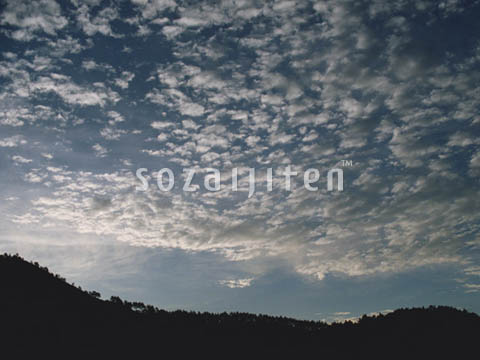 �R