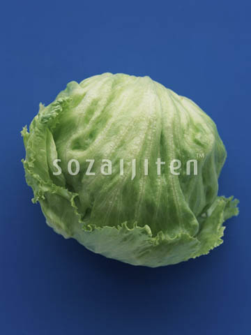 ���^�X