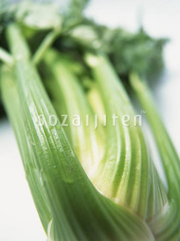�Z����