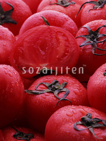 �g�}�g