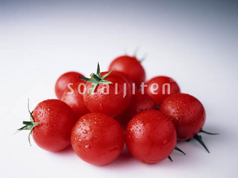 �~�j�g�}�g