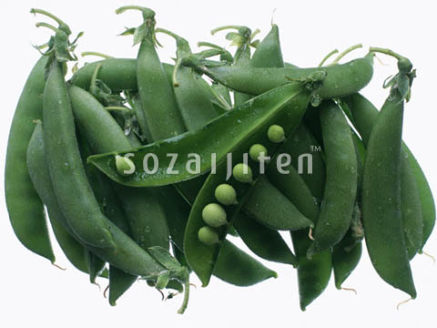 �G���h�E
