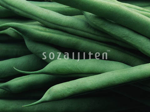 �C���Q��