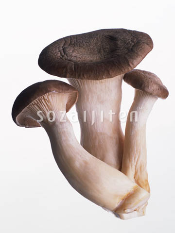 �G�����M