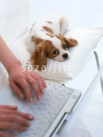 �p�\�R���V�[��