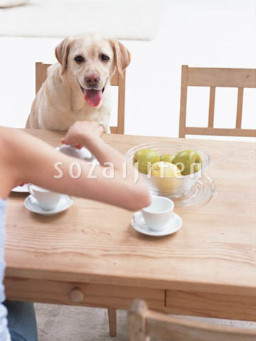 ���H�V�[��