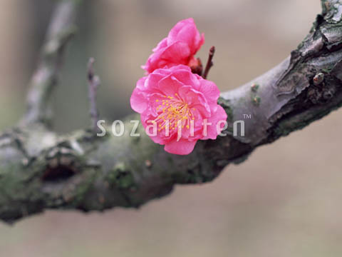 �E��