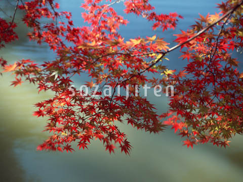 �g�t