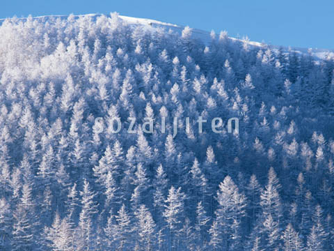 �R