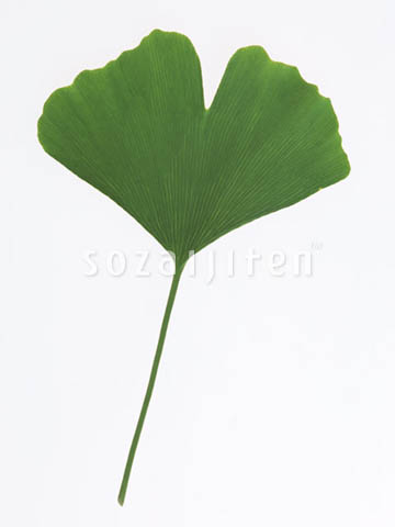 �C�`���E