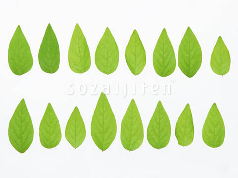 �t