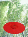 野点傘と竹林