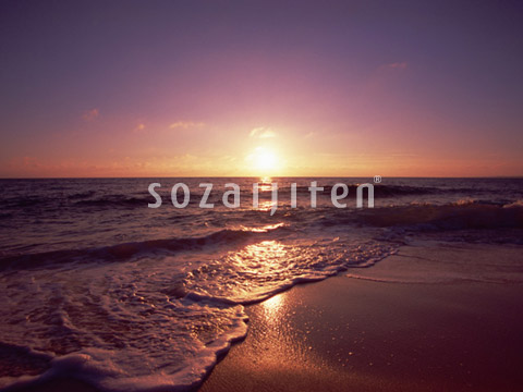 �g�ł���