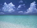 海