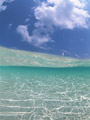 海