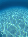 海