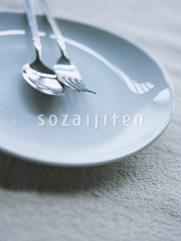 �v���[�g�ƃJ�g�����[