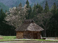 水車小屋