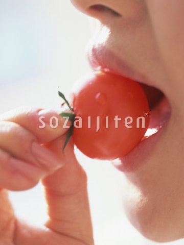 �~�j�g�}�g��H�ׂ鏗��