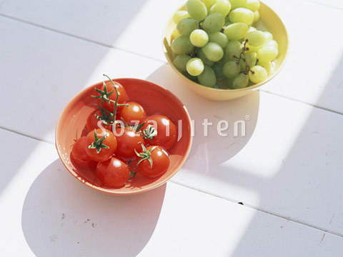 �~�j�g�}�g�ƃu�h�E