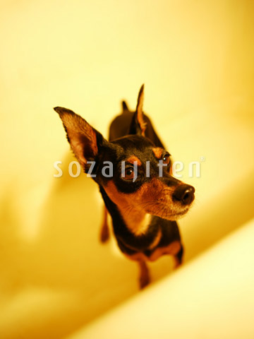 ~j`AsV[