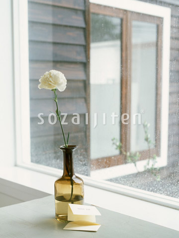 �J�[�l�[�V����