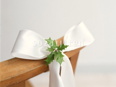 �q�C���M�̗t�ƃ��{��