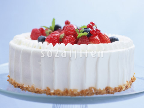 ベリーショートケーキ Gt021 Jpg 写真素材