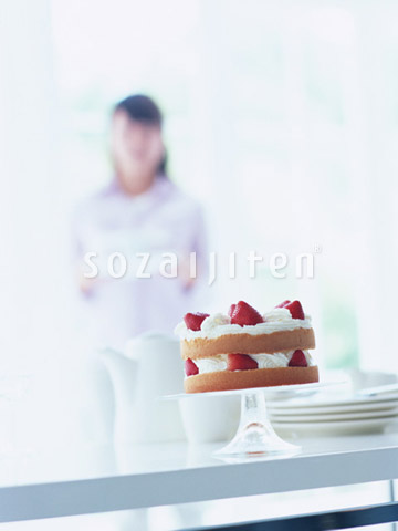 �C�`�S�V���[�g�P�[�L