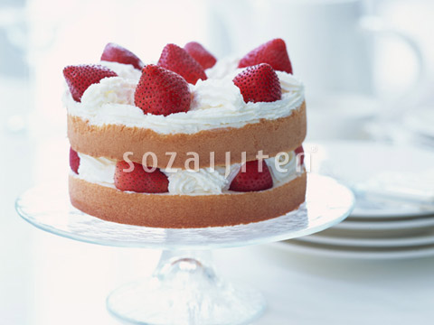 �C�`�S�V���[�g�P�[�L