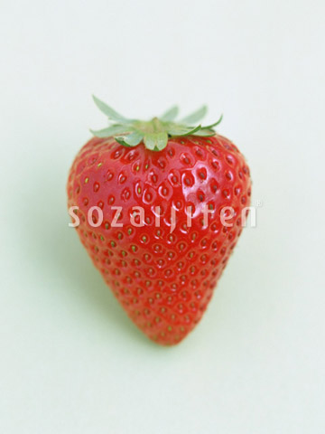 �C�`�S