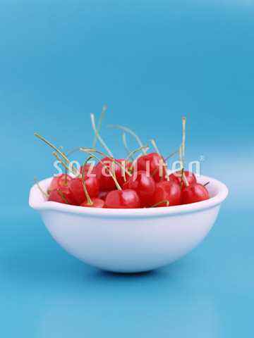 �T�N�����{