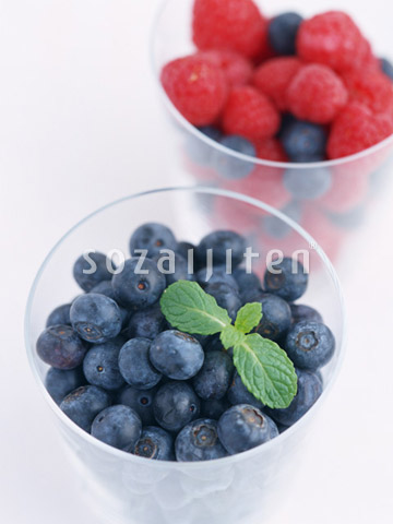�u���[�x���[