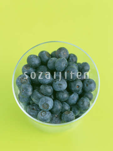 �u���[�x���[