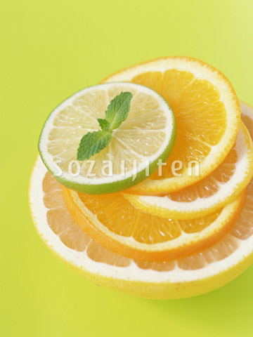 �t���[�c�̗֐؂�