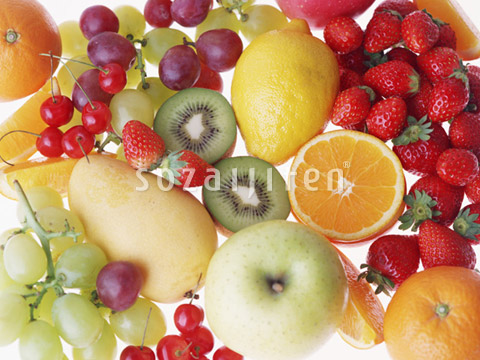 �t���[�c���낢��