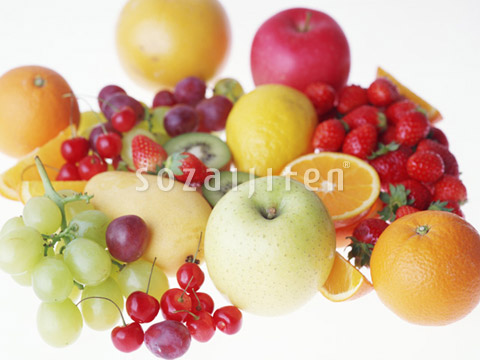 �t���[�c���낢��
