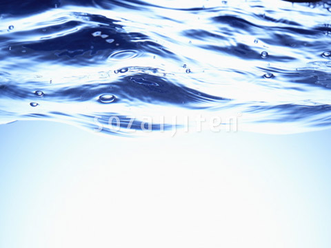 �g