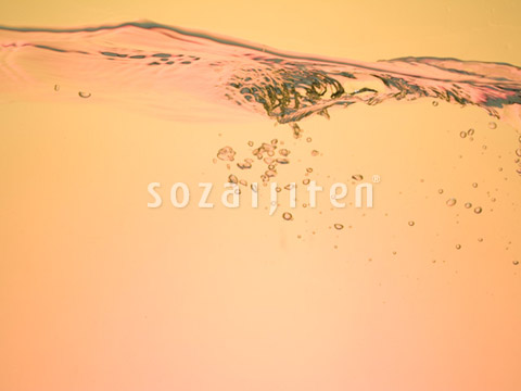�g