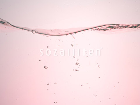 �g